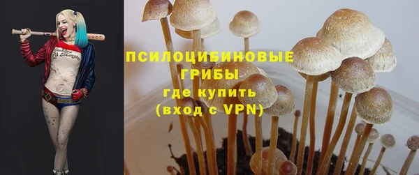 индика Беломорск