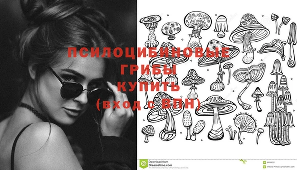 метамфетамин Белокуриха