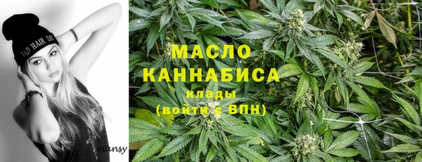 индика Беломорск