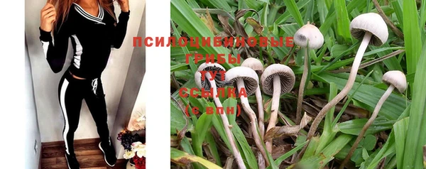 ALPHA PVP Богородицк