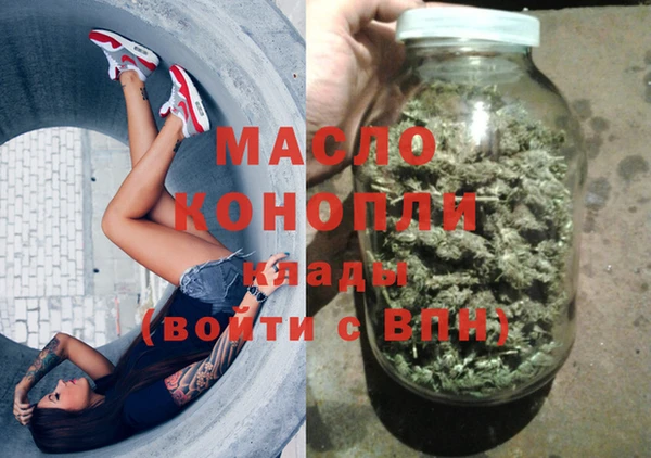 индика Беломорск